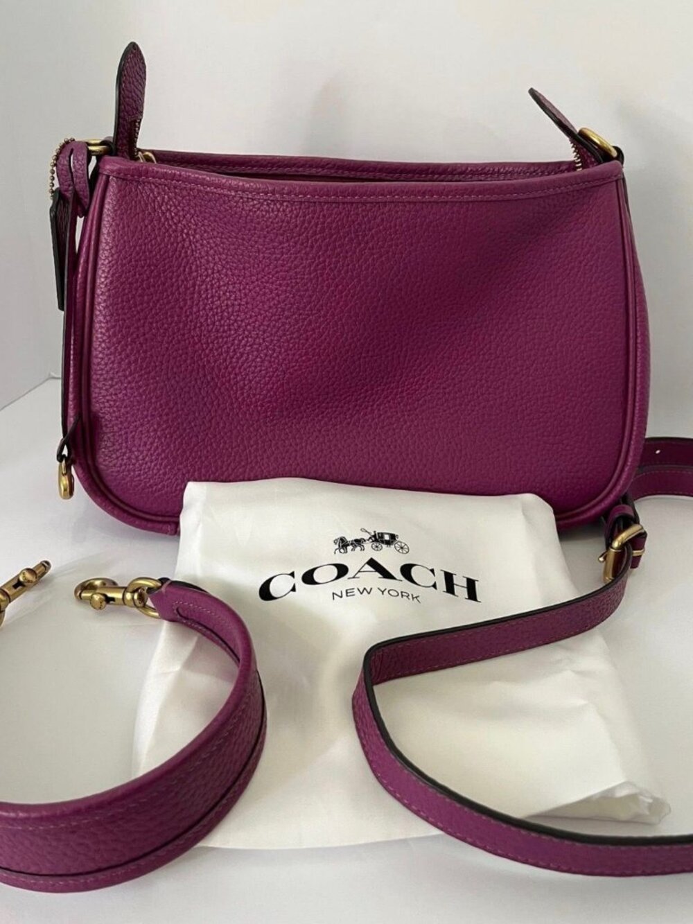 Coach Cary Convertible Crossbody Bag